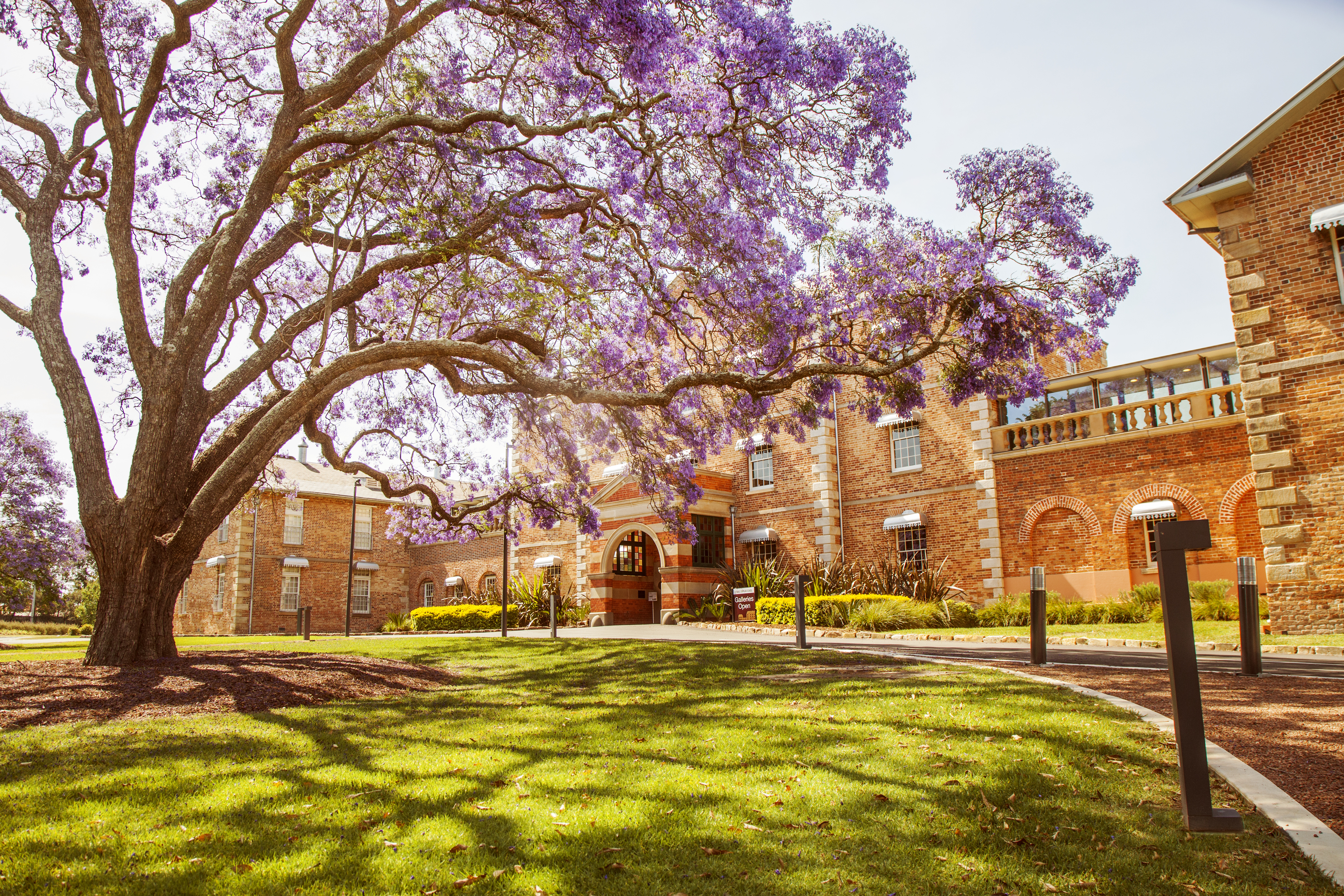 international students at parramatta campus